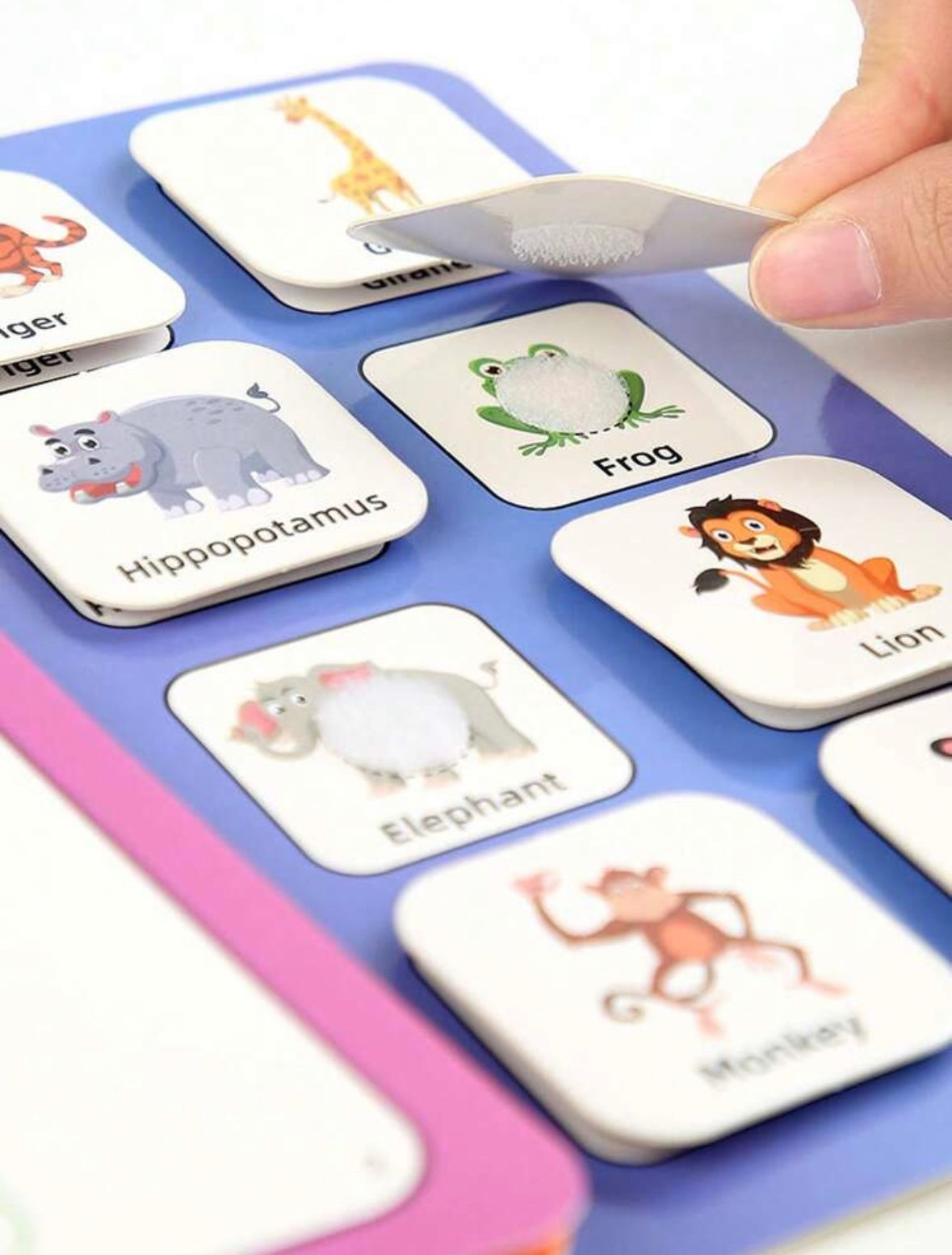 Montessori Activity Book