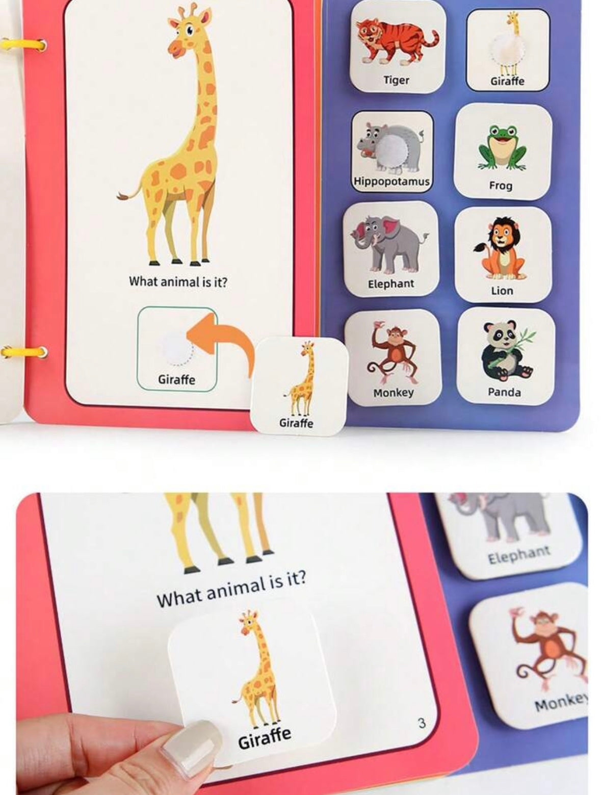 Montessori Activity Book
